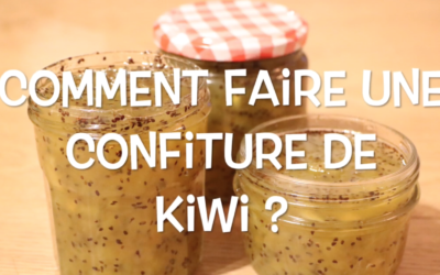 Comment la « confiture de kiwi » peut améliorer votre SEO ?