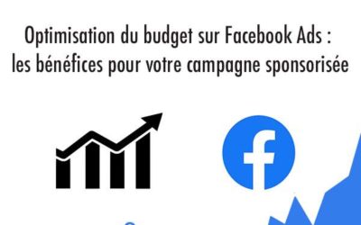 Optimisation du budget sur Facebook Ads : les bénéfices pour votre campagne sponsorisée