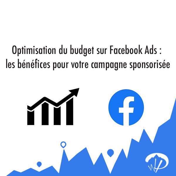 Optimisation du budget sur Facebook Ads : les bénéfices pour votre campagne sponsorisée