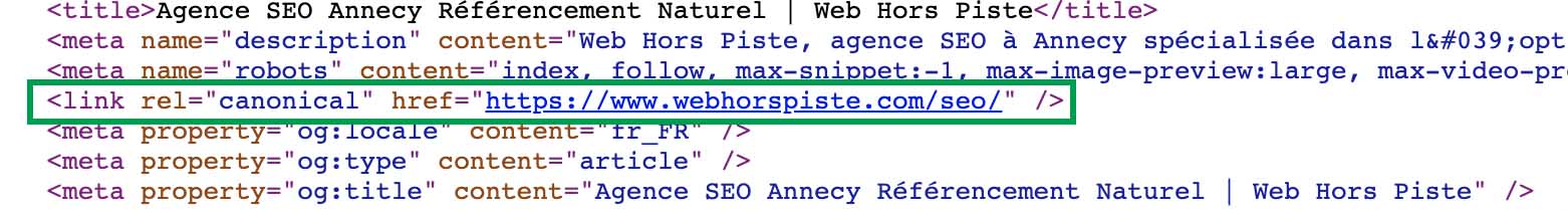 canonical tag seo refonte site web