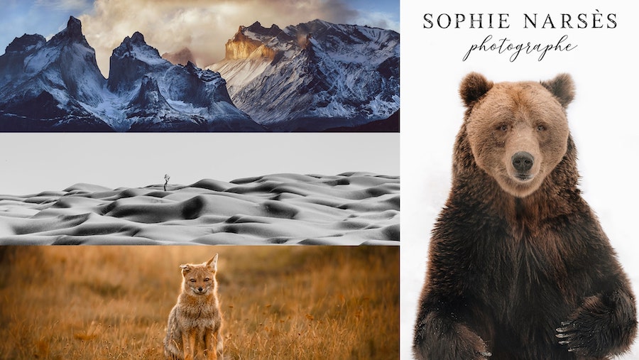Sophie Narses